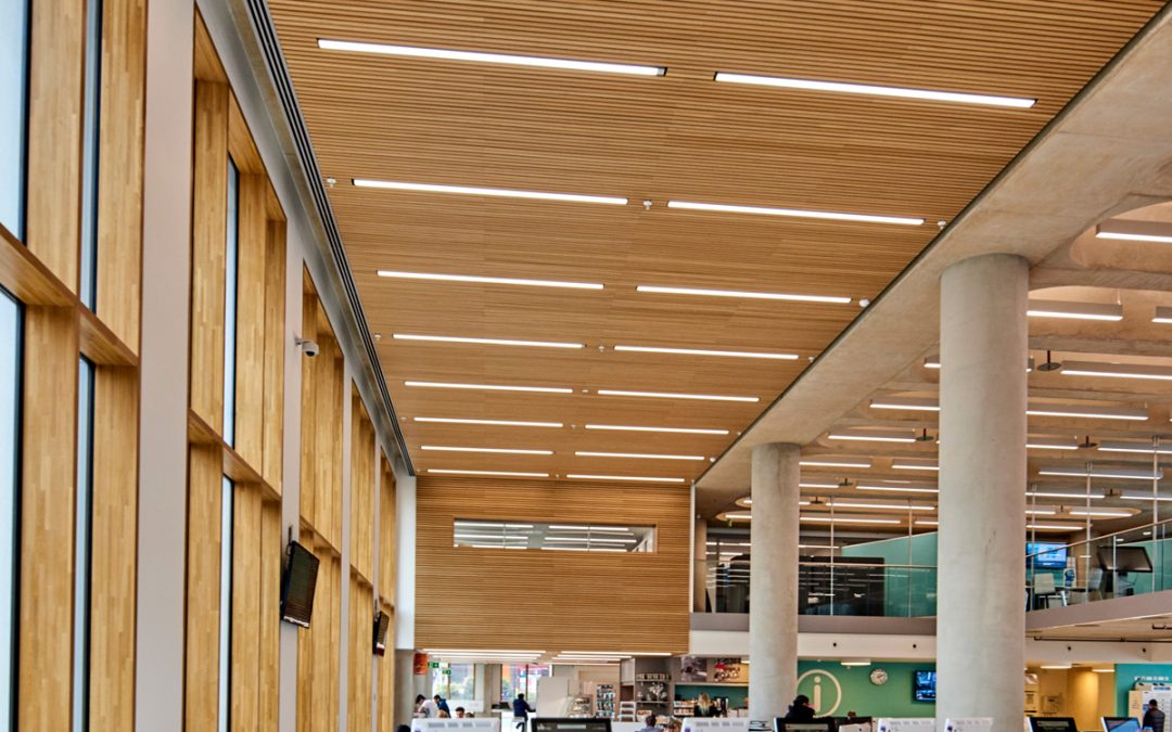 University of Bedford